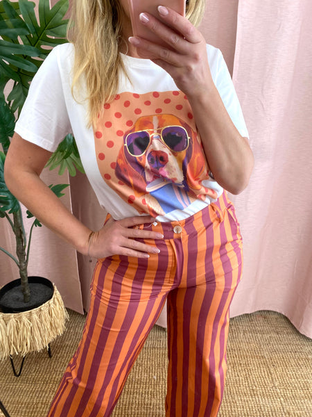 T-shirt de algodão cão bolas laranja