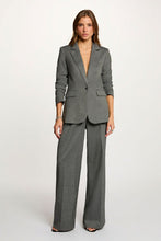 Carregar imagem no visualizador da galeria, Calças cinza com brilho Morgan
