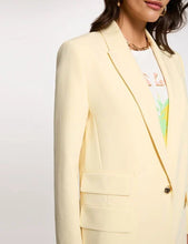 Carregar imagem no visualizador da galeria, Blazer Morgan amarelo
